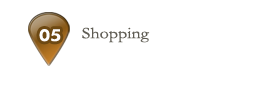 Shopping
